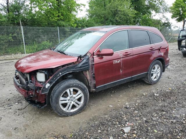 Vin: 5j6re4h78al101136, lot: 56837655, honda crv exl 2010 img_1
