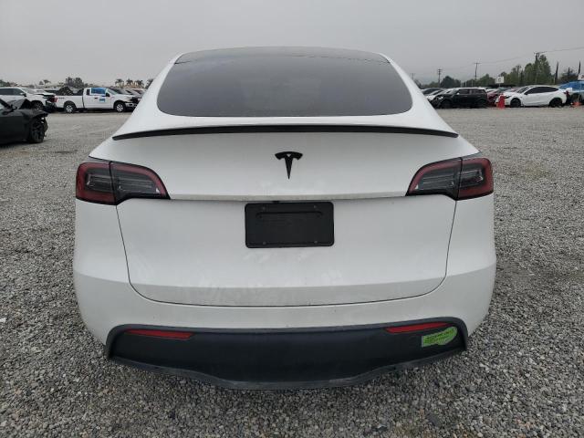 2023 TESLA MODEL Y - 7SAYGDEF7PF632513