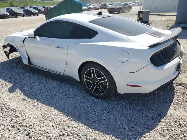 Vin: 1fa6p8cf5p5302262, lot: 57339775, ford mustang gt 20232