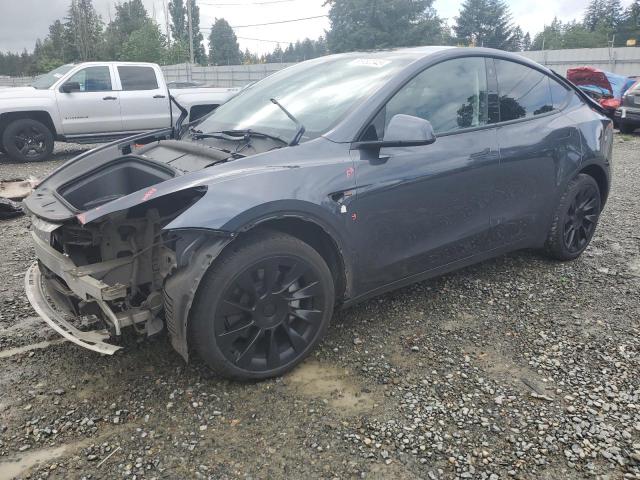 Vin: 7saygdee7pa080807, lot: 56982345, tesla model y 2023 img_1
