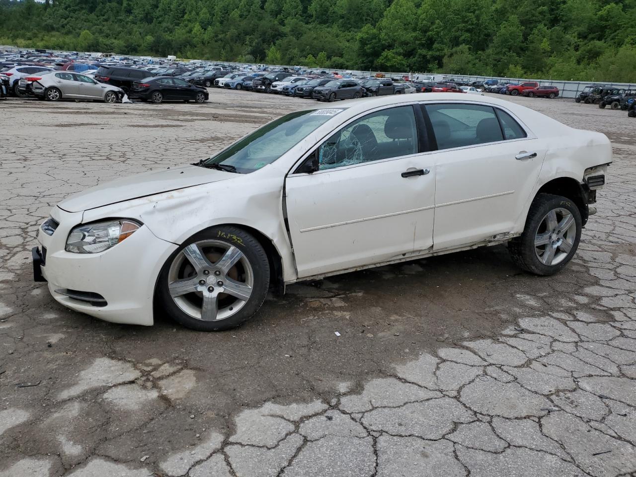 CHEVROLET MALIBU 1LT
