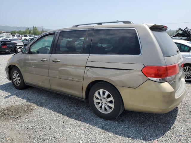Vin: 5fnrl3h75ab037405, lot: 54215905, honda all models exl 20102
