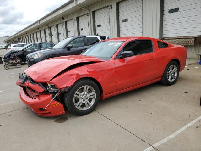 Vin: 1zvbp8amxe5221634, lot: 56333205, ford all models 2014 img_1