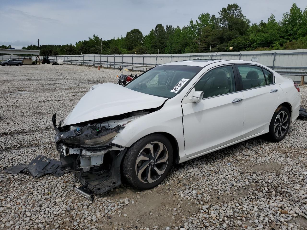 HONDA ACCORD EXL