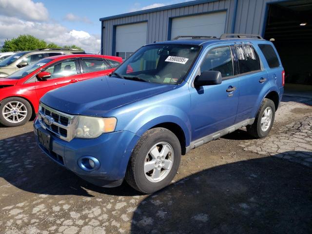 Vin: 1fmcu9dg2akb90432, lot: 55900095, ford escape xlt 2010 img_1