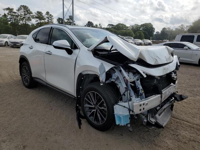 2024 LEXUS NX 250 PRE JTJGDCAZ0R2014142