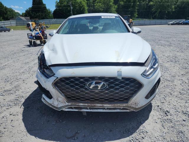 2019 HYUNDAI SONATA LIM 5NPE34AF8KH752977