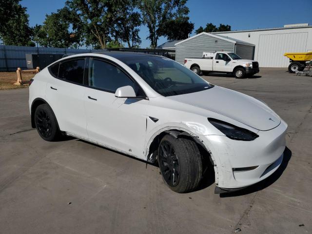 2024 TESLA MODEL Y 7SAYGDEE2RF071146