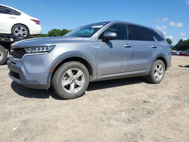 Vin: 5xyrg4lc3mg021795, lot: 59050315, kia sorento lx 2021 img_1