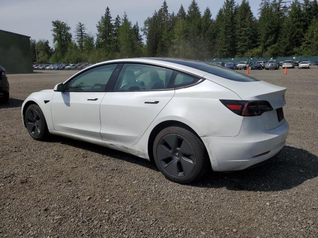 Vin: 5yj3e1eb8pf386449, lot: 55955415, tesla model 3 20232