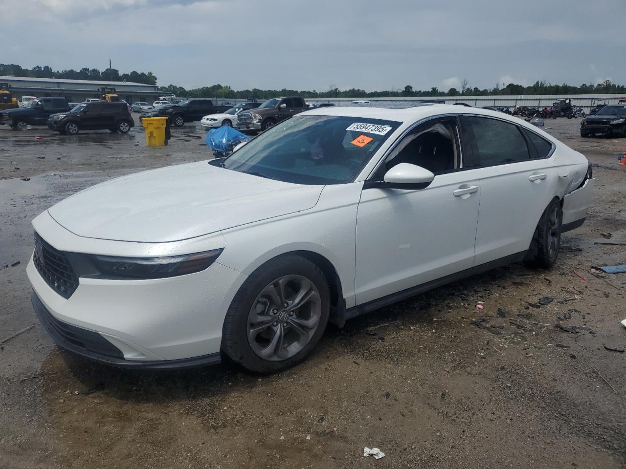 HONDA ACCORD EX