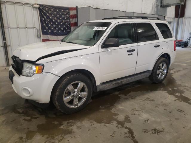 Vin: 1fmcu9dg9akd32937, lot: 55406205, ford escape xlt 2010 img_1