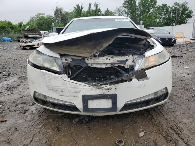 2010 ACURA TL - 19UUA8F55AA008544