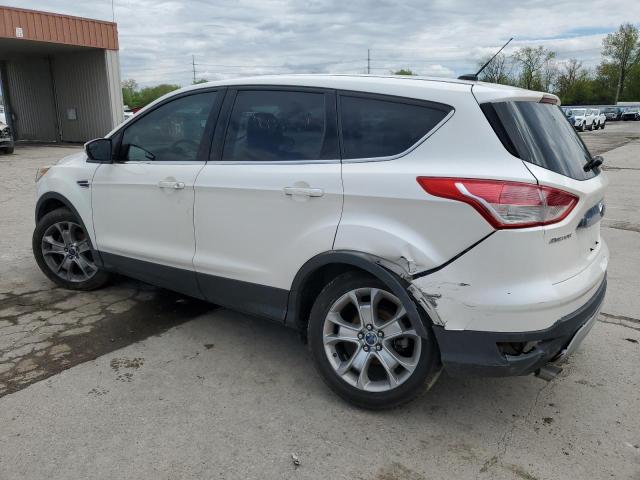 FORD ESCAPE SEL 2013 white 4dr spor gas 1FMCU0HX9DUD76466 photo #3