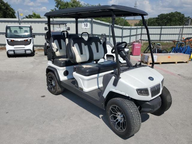 OTHER GOLF CART 2023 white   LLTGEFXM6NB001119 photo #1
