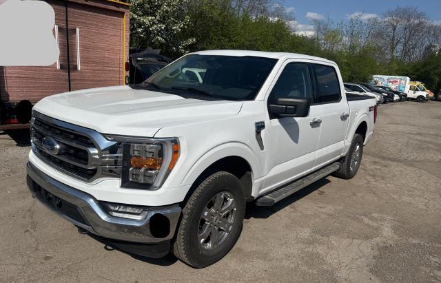 Vin: 1ftfw1e89pke23266, lot: 56787025, ford f-150 supercrew 20232