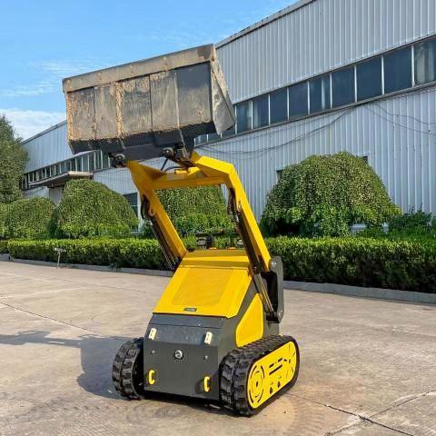 Global Auto Auctions: 2025 OTHER HEAVY EQUIPMENT SKID STEER