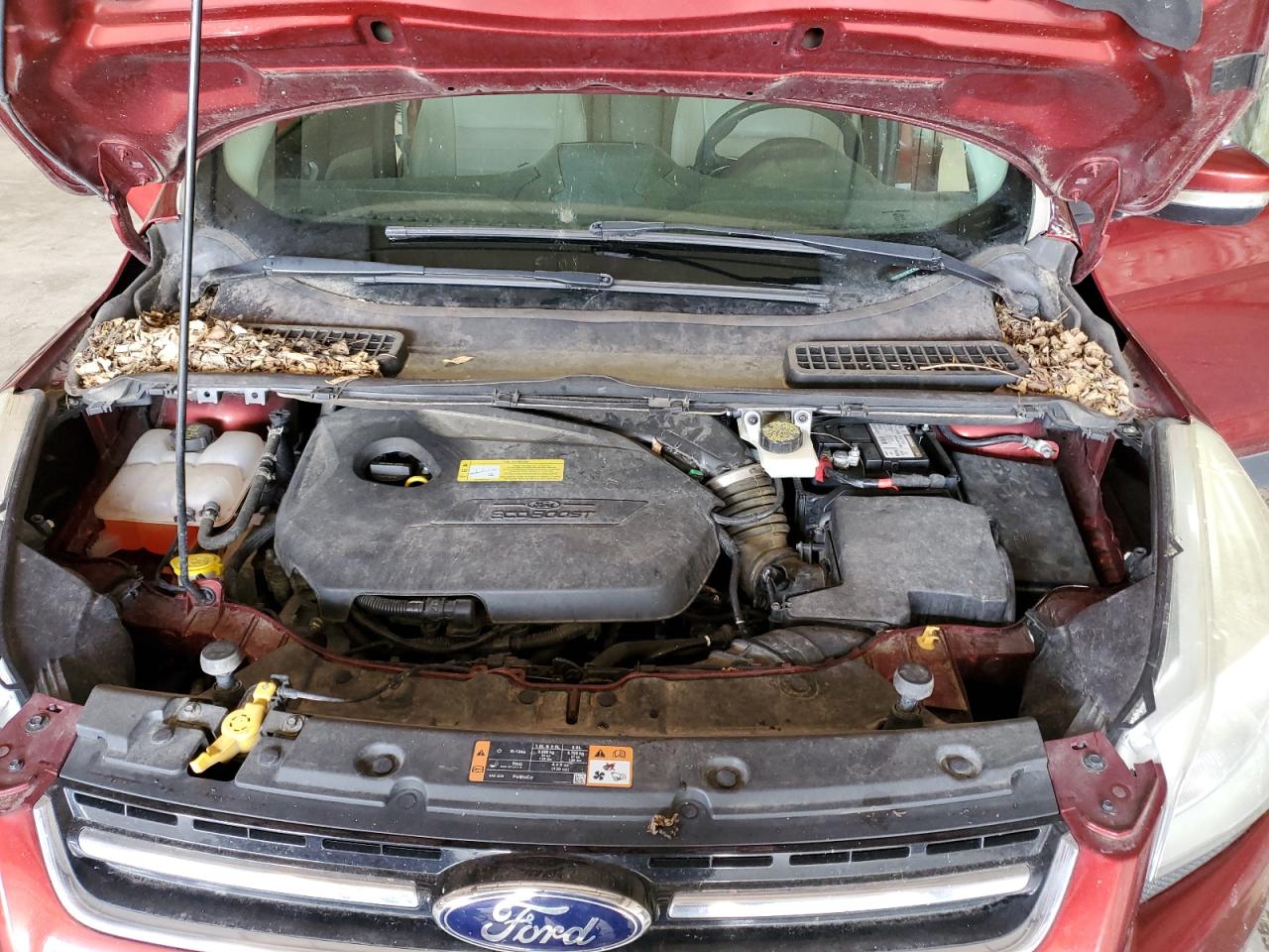 FORD ESCAPE TITANIUM