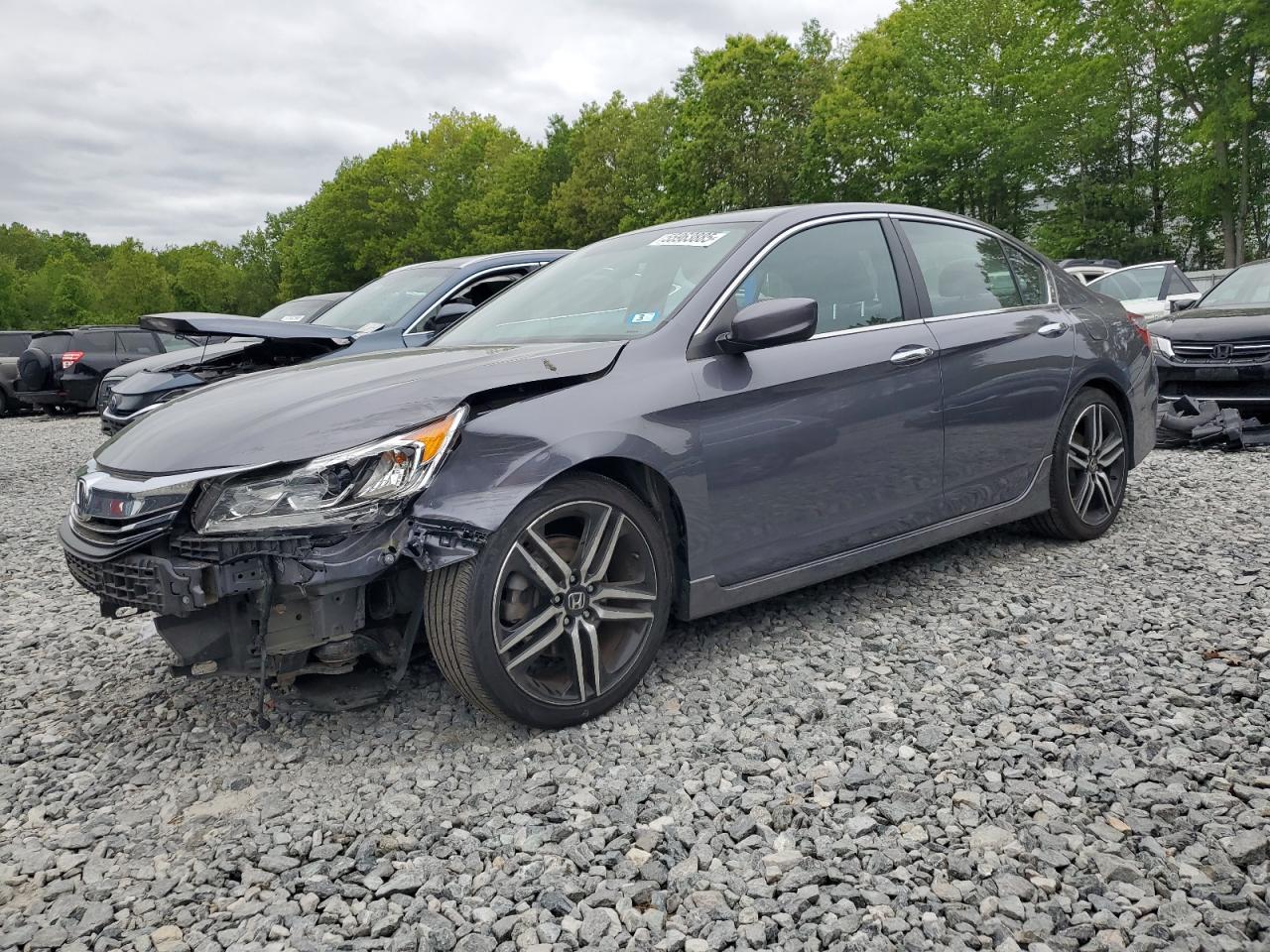 HONDA ACCORD SPORT SPECIAL EDITION