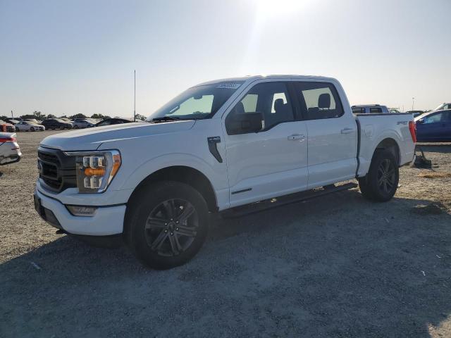 Vin: 1ftfw1ed6pfd10526, lot: 58430555, ford f-150 supercrew 2023 img_1