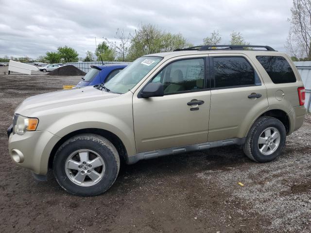 Vin: 1fmcu0dg6akb49085, lot: 56309235, ford escape xlt 2010 img_1