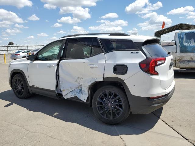 2024 GMC TERRAIN SL - 3GKALMEG6RL332148
