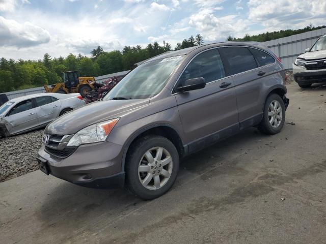 Vin: 5j6re4h40bl038539, lot: 58054055, honda crv se 2011 img_1
