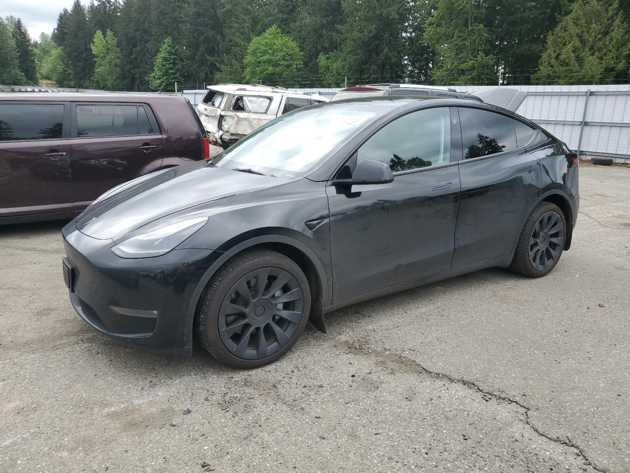 TESLA MODEL Y