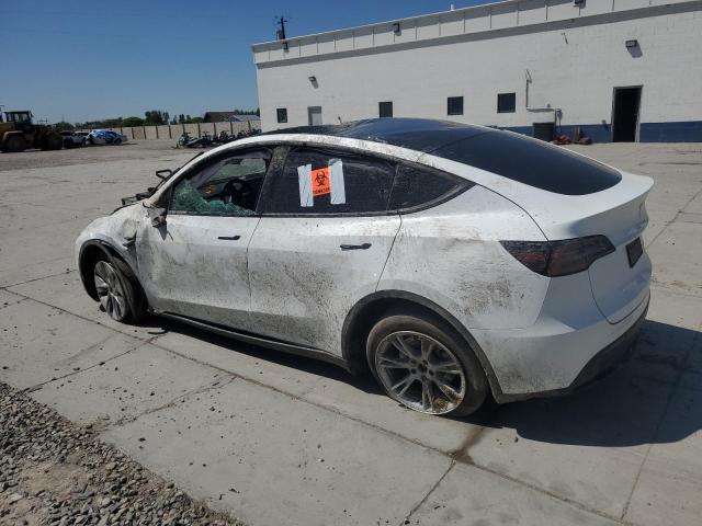 Vin: 7saygdee0pf802072, lot: 58094865, tesla model y 20232