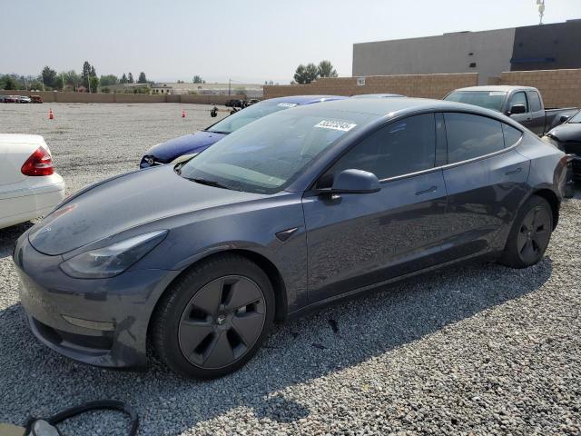 Vin: 5yj3e1ea6pf601902, lot: 55223245, tesla model 3 2023 img_1