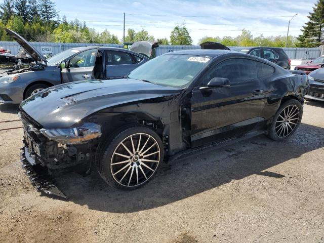 Vin: 1fa6p8cf9p5305892, lot: 57672435, ford mustang gt 2023 img_1