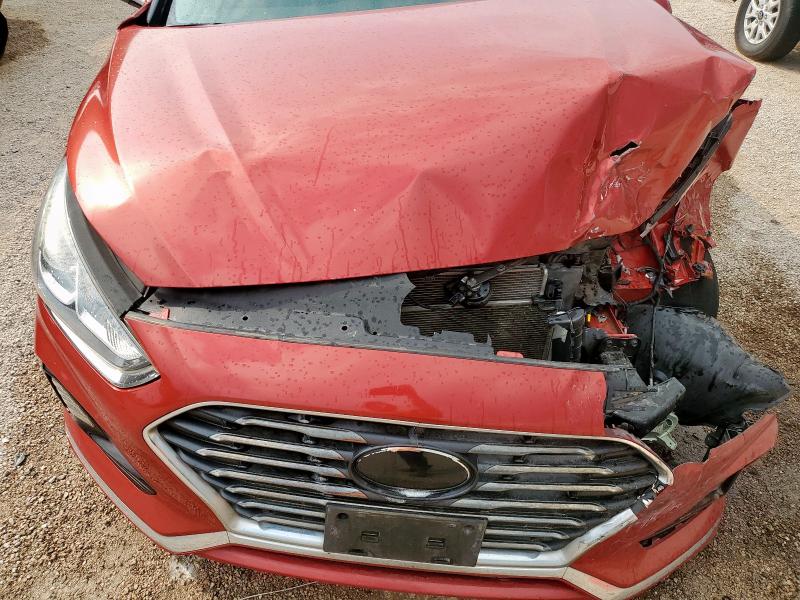 2019 HYUNDAI SONATA SE 5NPE24AF8KH816888