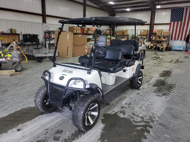 OTHER RV GOLF CART 2023 white   202327309 photo #3