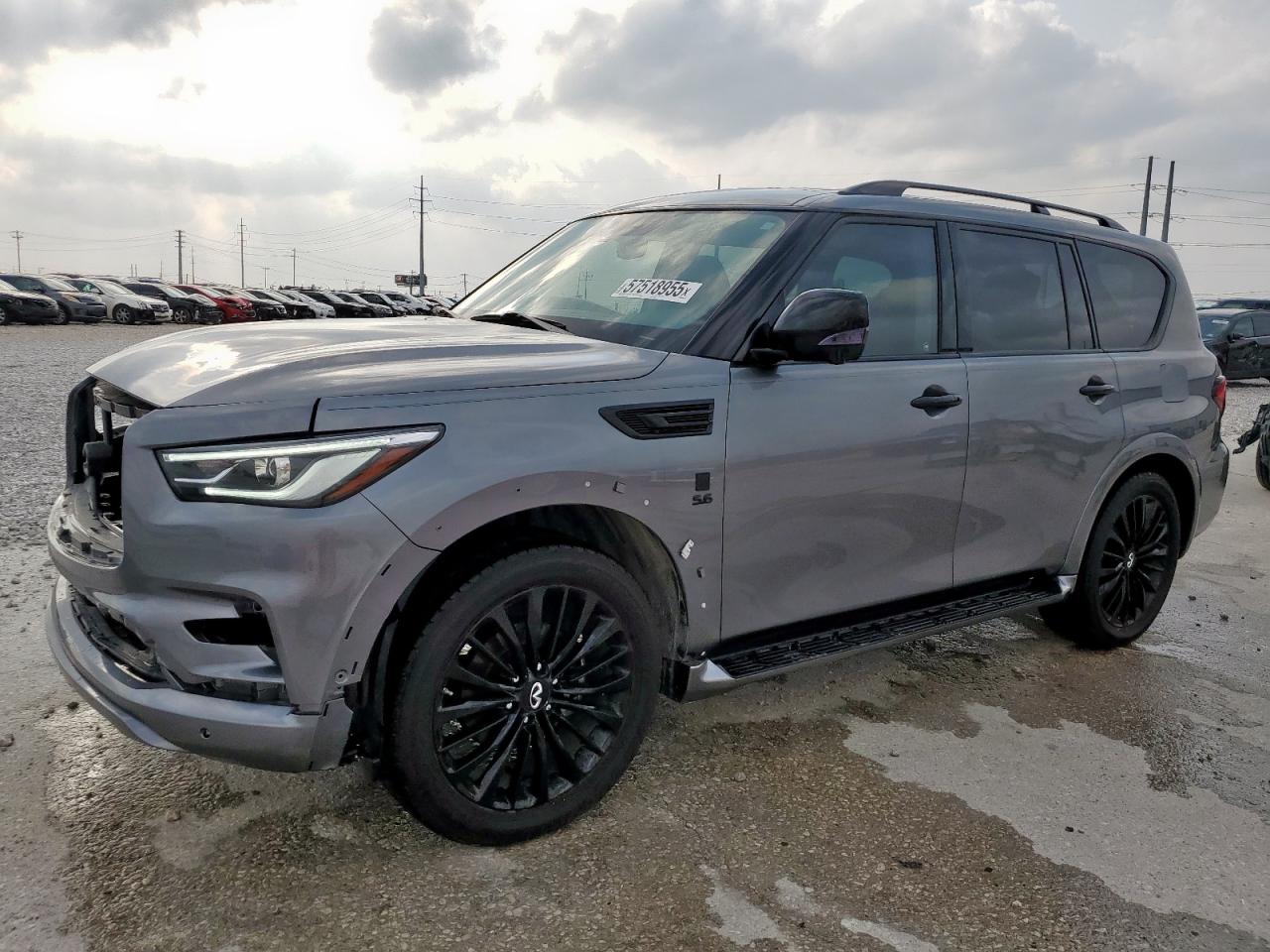 INFINITI QX80 2019