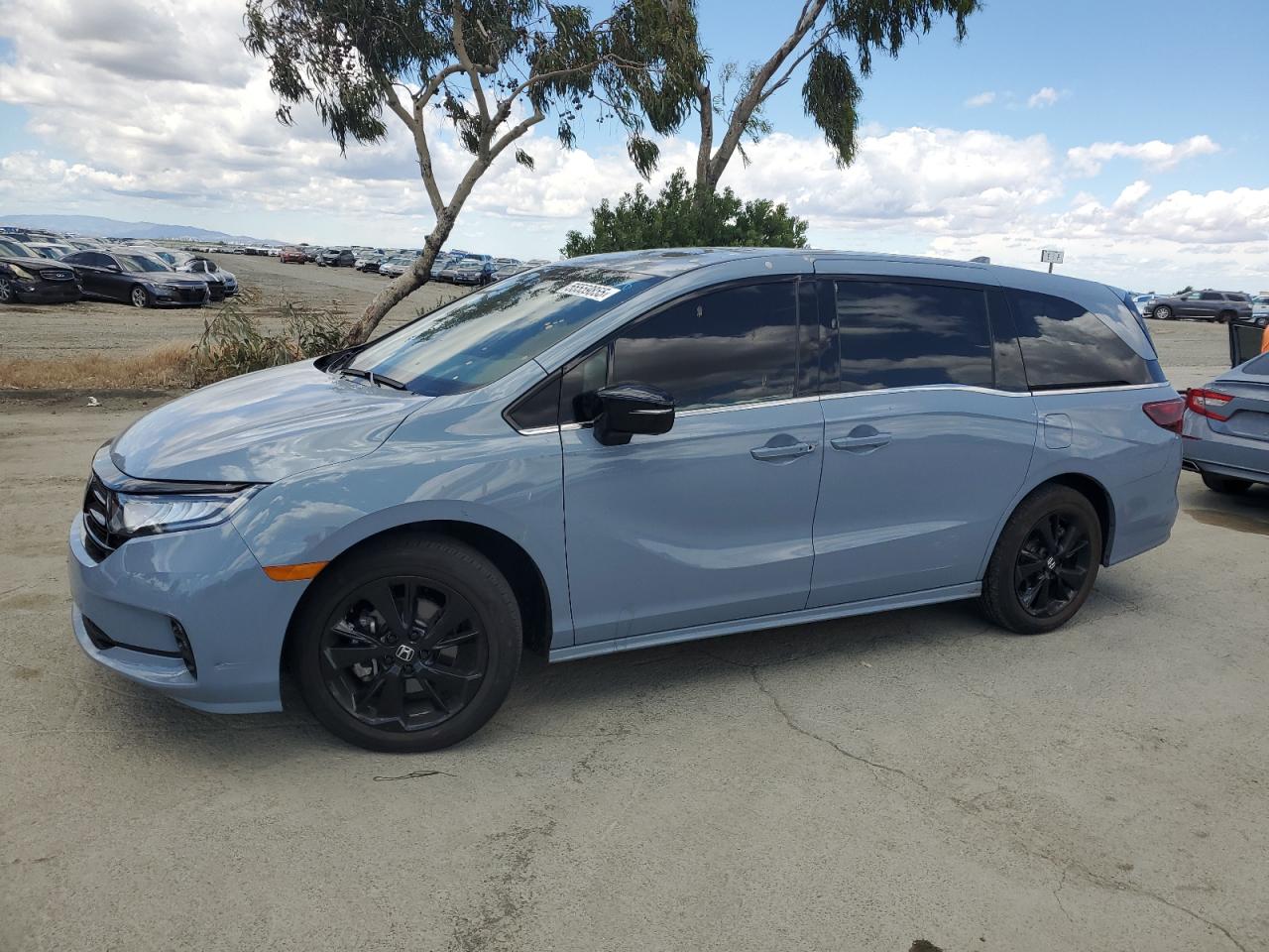 HONDA ODYSSEY SPORT