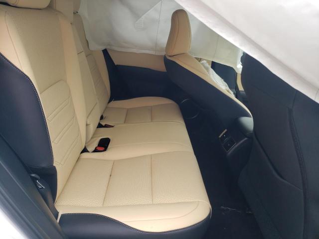 2020 LEXUS NX 300 LUX JTJHARDZXL5015963