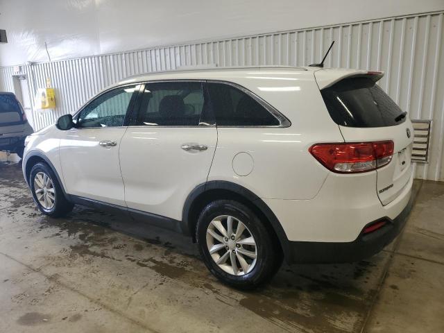 Vin: 5xypg4a30gg114563, lot: 56573185, kia sorento lx 20162