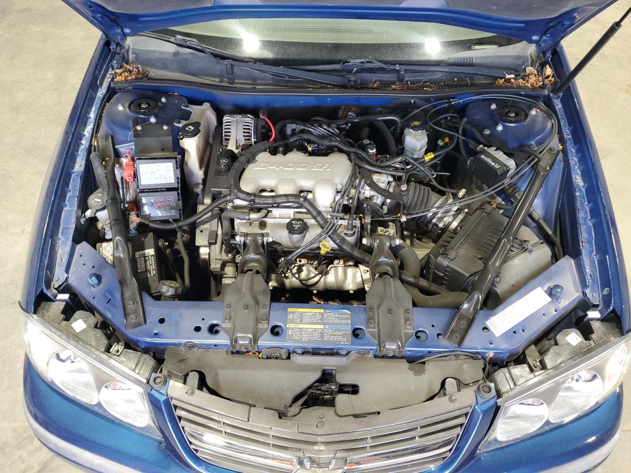 Lot #3207444158 2005 CHEVROLET IMPALA