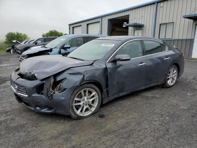 Global Auto Auctions: 2010 NISSAN MAXIMA