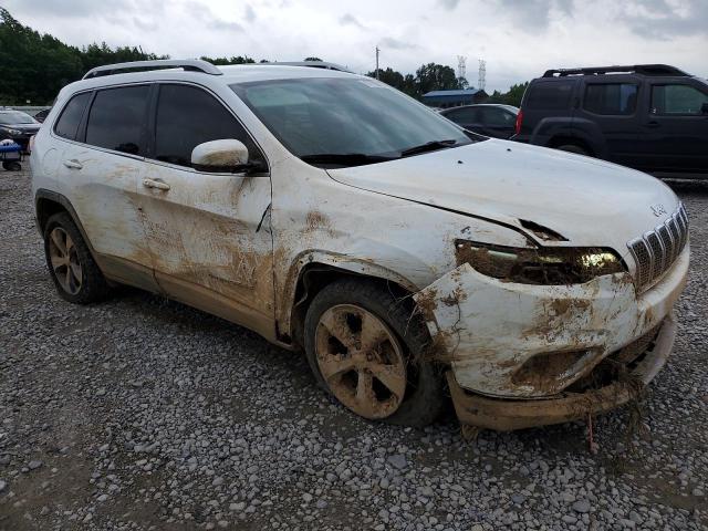 2019 JEEP CHEROKEE L 1C4PJLDB6KD487807