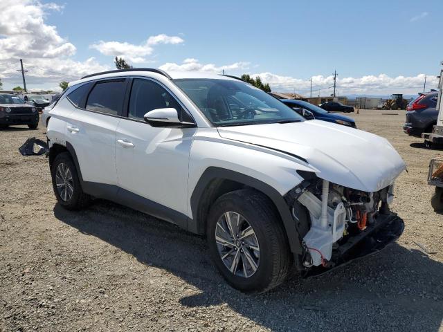 Vin: km8jbca19pu100684, lot: 56344205, hyundai tucson blue 20234