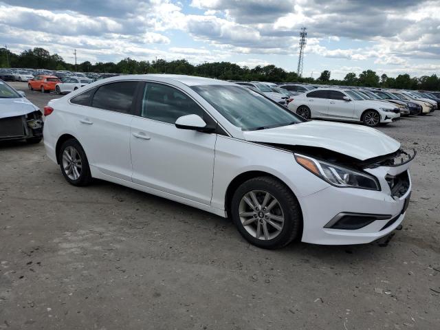 Vin: 5npe24af5gh377172, lot: 58349995, hyundai sonata se 20164