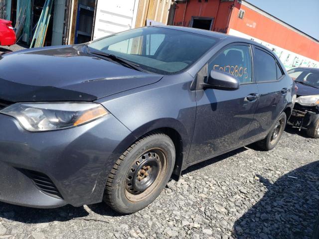 Vin: 2t1burhe5gc730455, lot: 50172805, toyota corolla l 2016 img_1