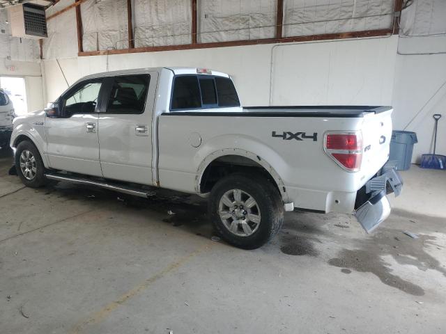 Vin: 1ftfw1ev5afd85749, lot: 56689585, ford f-150 supercrew 20102