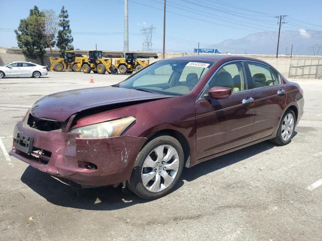 2008 HONDA ACCORD EXL #3152522868