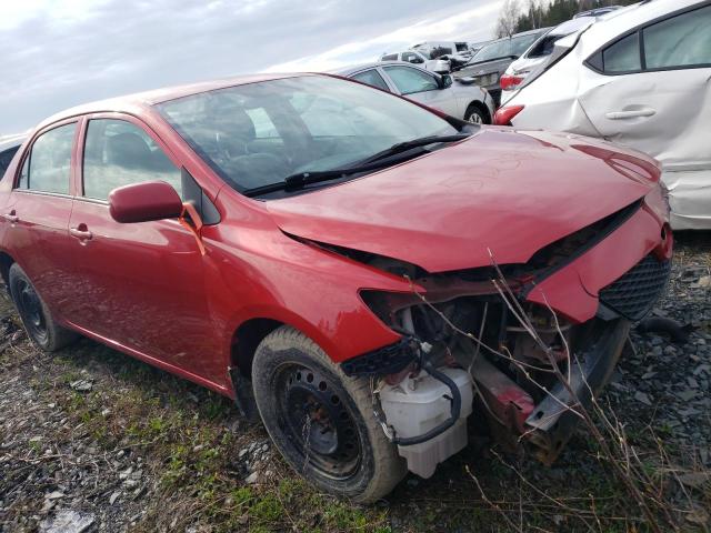 Vin: 2t1bu4eexac428528, lot: 51238675, toyota corolla base 20104