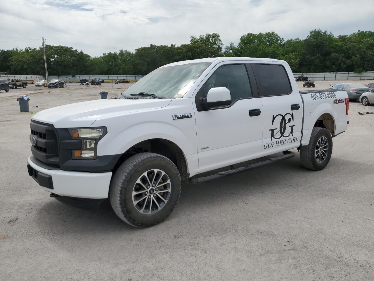 FORD F-150 2015
