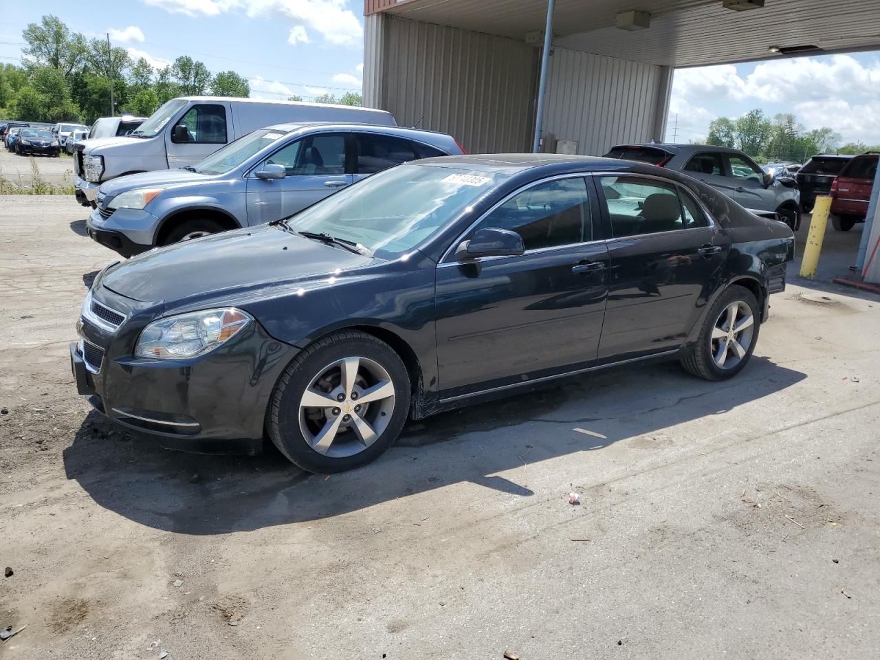 CHEVROLET MALIBU 1LT