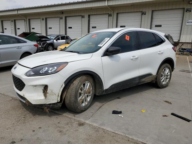 Vin: 1fmcu0g69nub15137, lot: 56896815, ford escape se 2022 img_1