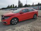Top Destinations for Shipping Cars from the USA